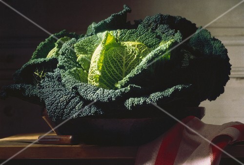 Savoy Cabbage