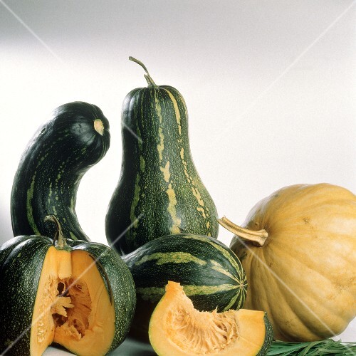 Still Life of Assorted Squash