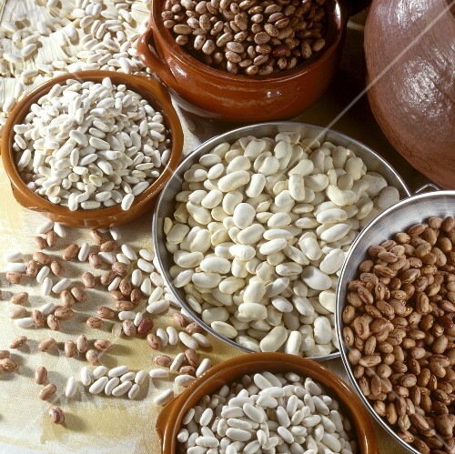 Still Life of Assorted Beans in Bowls