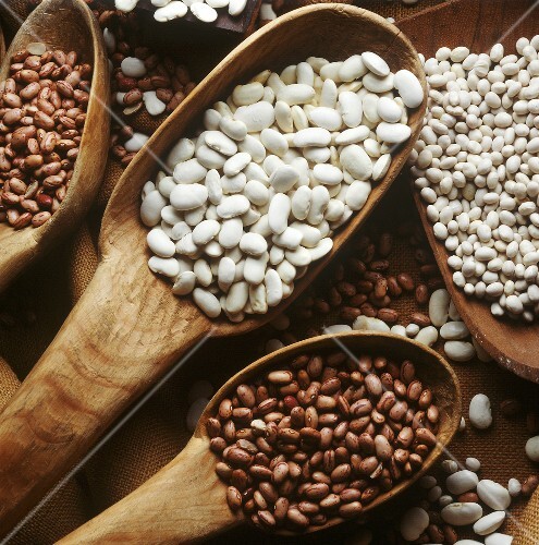 Still Life of Assorted Beans in Wooden Scoops