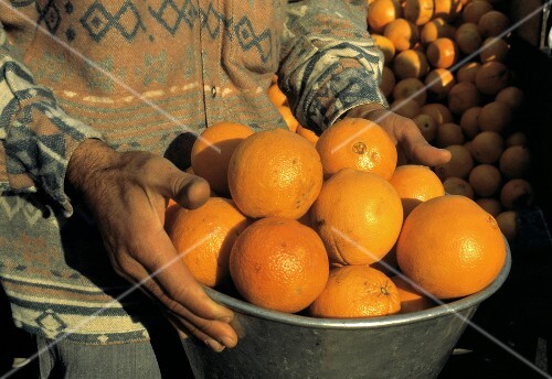 Person Holding Bowl of Oranges in Turkey