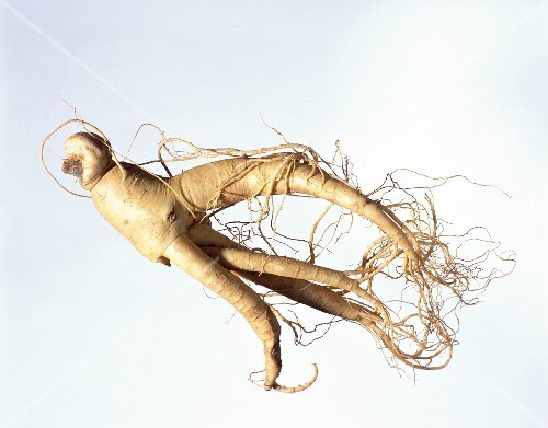Ginseng Root