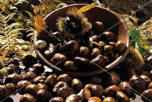 Many Washed Chestnuts in and Beside a Bowl; Leaves