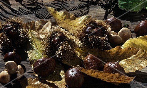 Sweet chestnuts on a wooden table with chestnut leaves