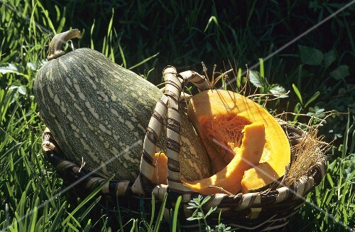 Gartenkürbis & aufgeschnittener Kürbis in einem Korb