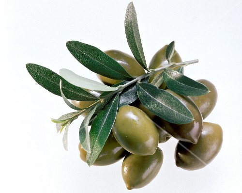 Green Olives; Leaves