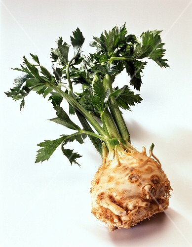 Celery Root