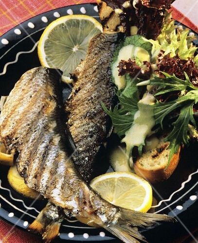 Barbecued blue char with salad accompaniment