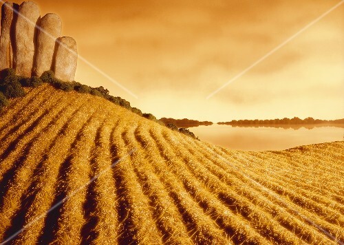 Landschaft aus Brot, Körnern und Gemüse