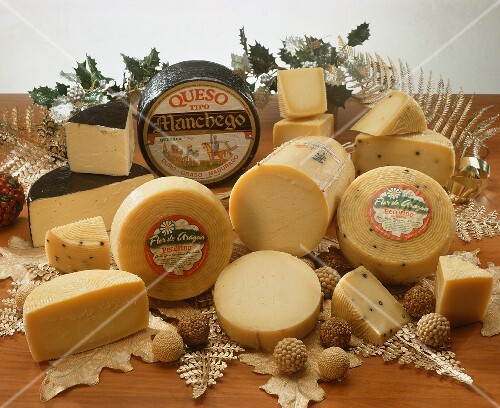 Various types of cheese from Spain and S. America