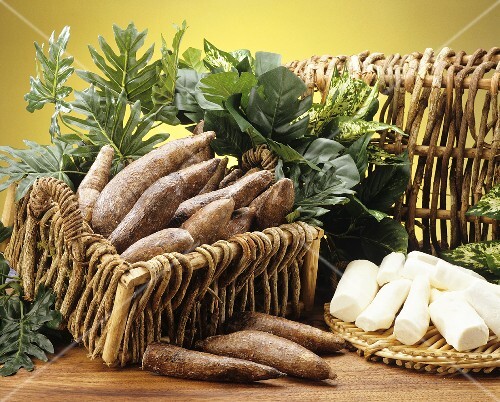 Yucca roots (Yucca baccata), raw and peeled