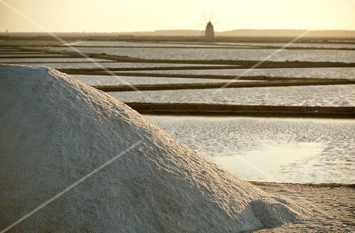 Salzsalinen bei Trapani, Italien (1)