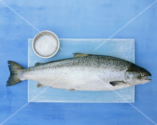 Salmon with a dish of sea salt