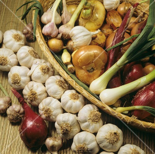 Knoblauch & verschiedene Zwiebelsorten