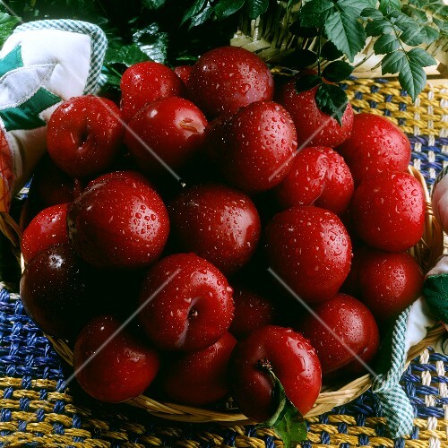 Rote Pflaumen in einem Körbchen