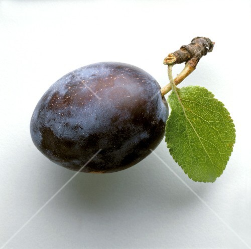 Damson Plums