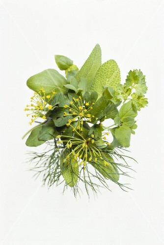 Herb bouquet with dill, sage, basil, parsley (2)