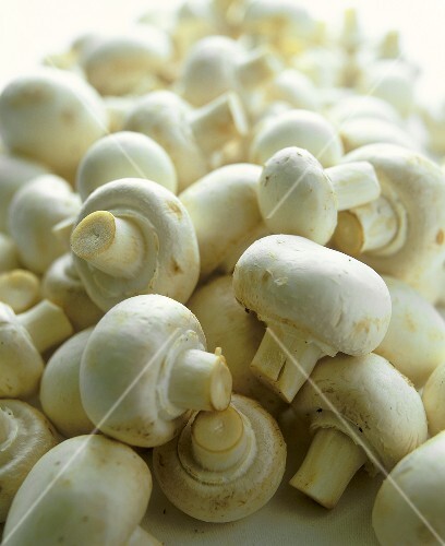 Lots of mushrooms