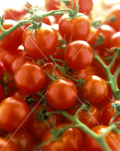 Lots of cherry tomatoes