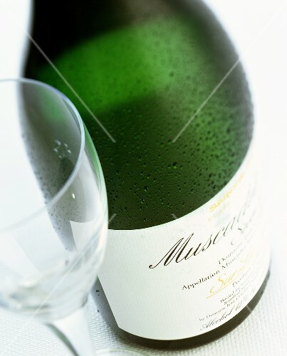 Champagne bottle (Muscadet) and glass