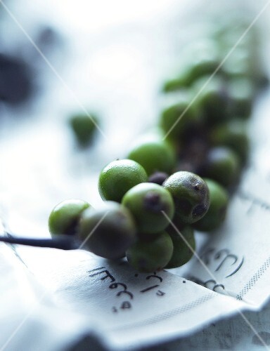 Fresh green peppercorns on Arab paper