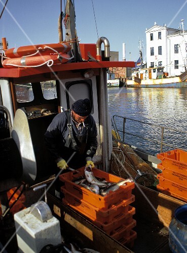 Fisherman with catch on a boat near Warnemünde (1)