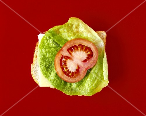 White bread topped with cheese, lettuce leaf and tomato