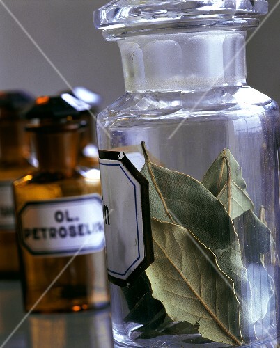 Dried bay leaves in jar