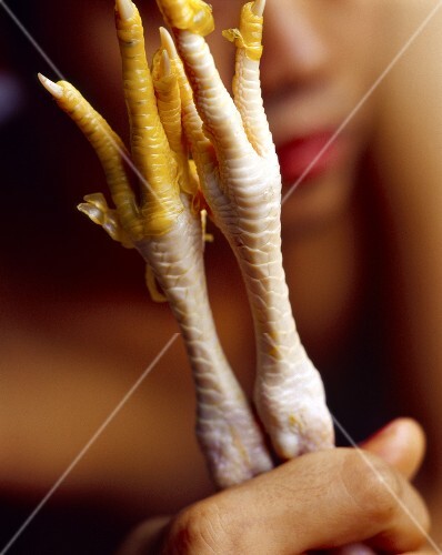 Hand holding chicken's feet