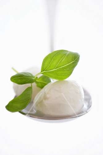 Mozzarella mit Basilikum auf Kelle