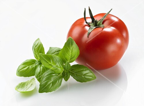 Tomato and basil
