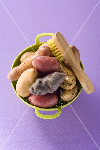 Various varieties of potatoes with brush in a colander