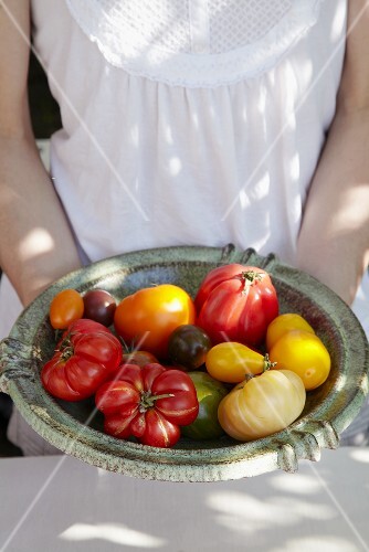 Woman holding a dish of different kinds of tomatoes