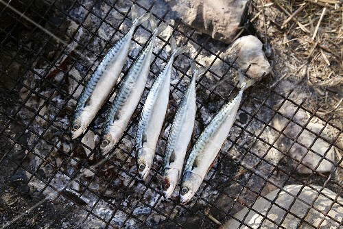 Mackerel being barbecued