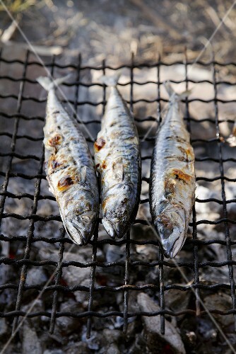 Barbecued mackerel