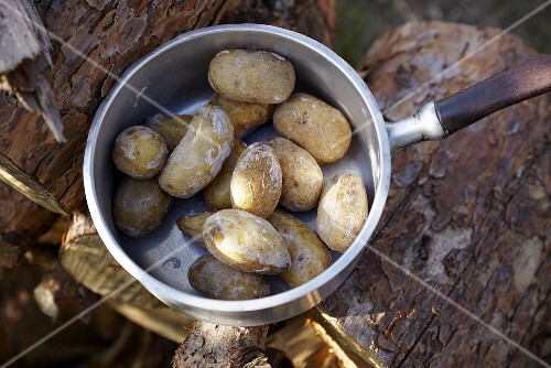 Potatoes cooked in their skins in a pan