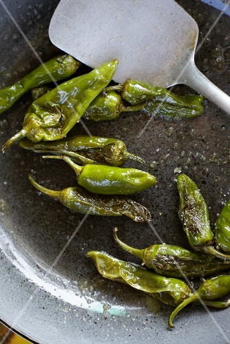 Pimientos de Padron in a frying pan
