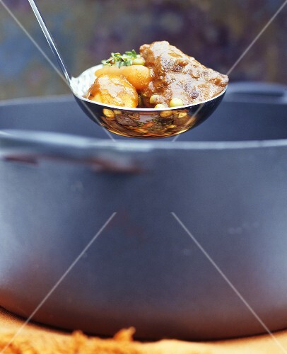 Beef stew with vegetables in ladle