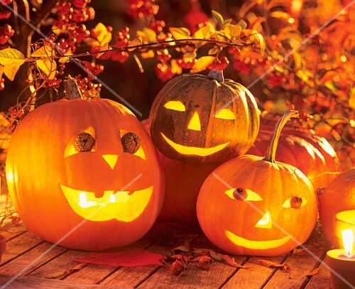 Halloween: Ausgehöhlte Kürbisse bei Nacht