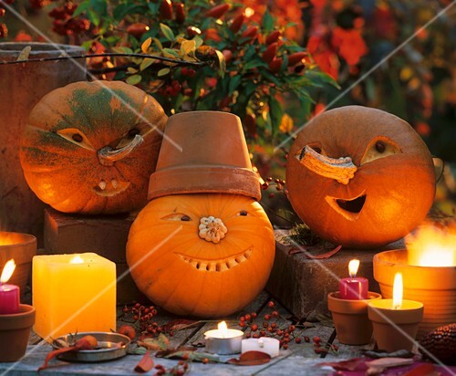 Halloween: Lustige Fratzengesichter aus Kürbissen