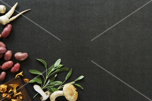 Still life with mushrooms, herbs and root vegetables
