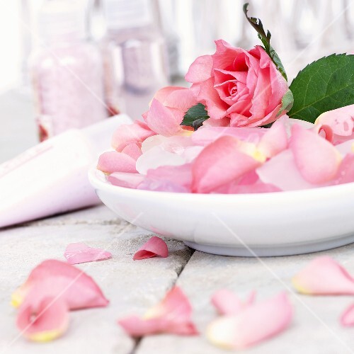 Pink rose petals