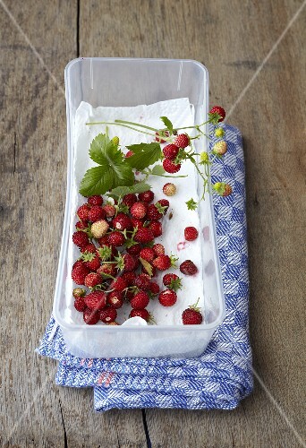 Walderdbeeren in Plastikschale