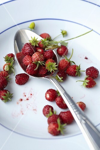 Walderdbeeren auf Teller & Löffel