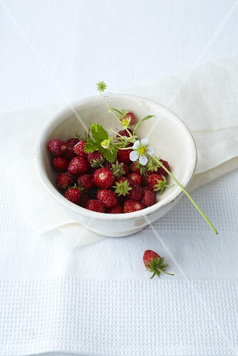 Walderdbeeren in weissem Schälchen