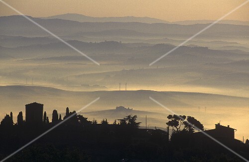Montalcino die berühmte Weinstadt bei Nebel, Toskana, Italien