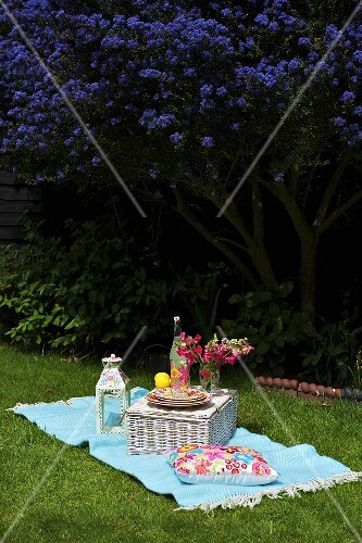Sommerliches Picknick auf der Wiese