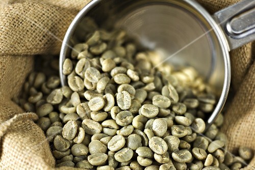 Grüne Kaffeebohnen auf Jutesack