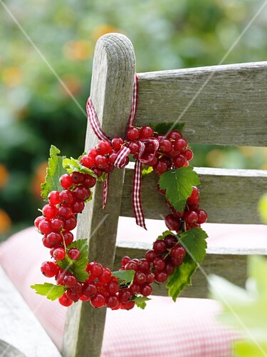 Small wreath of redcurrants on garden chair