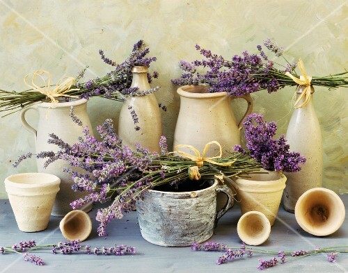Lavender among terracotta pots and bottles